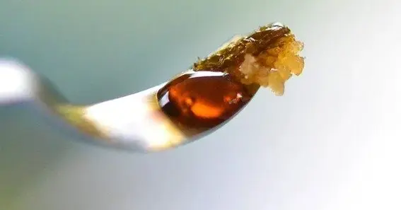 Different Types Of Cannabis Shatter