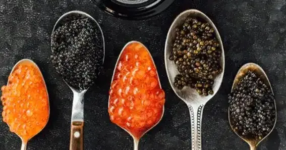 Four Kinds of Caviar