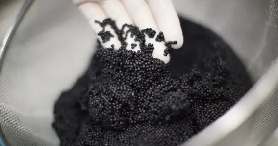 Detailed Process of Caviar Production