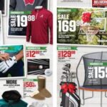 dicks weekly ad