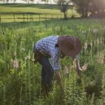 united ag lending